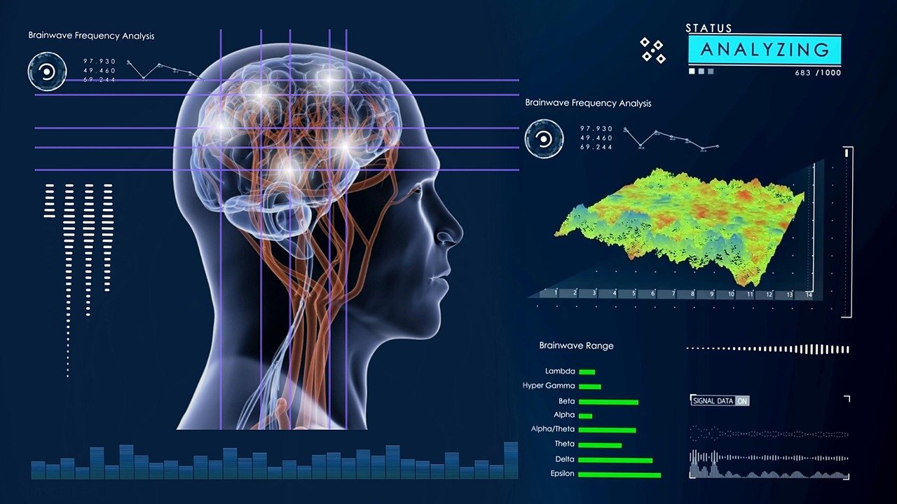 Como o Cérebro Aprende: O Que a Neurociência Pode Ensinar Sobre Educação Eficiente